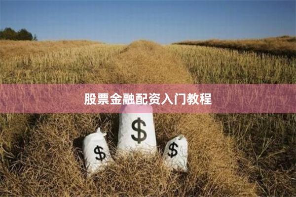 股票金融配资入门教程